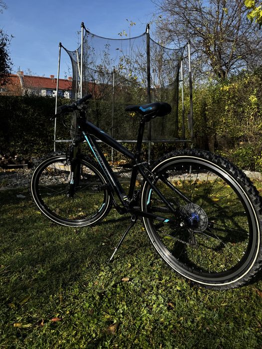 Rower Kands Monster