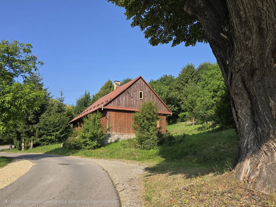 Dom – Sułkowice - Widok 2