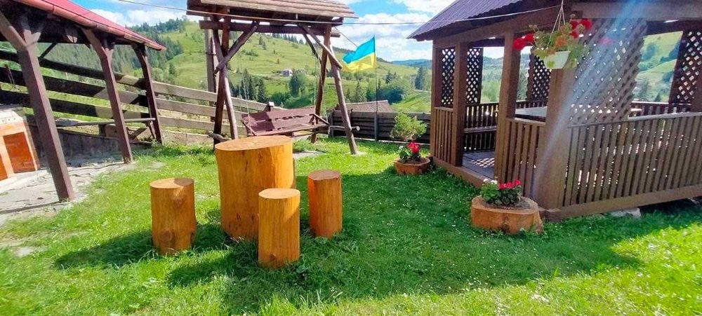 Найкращі краєвиди! Продаж садиби в Яблуниці біля Буковелю. Два будинки на території
