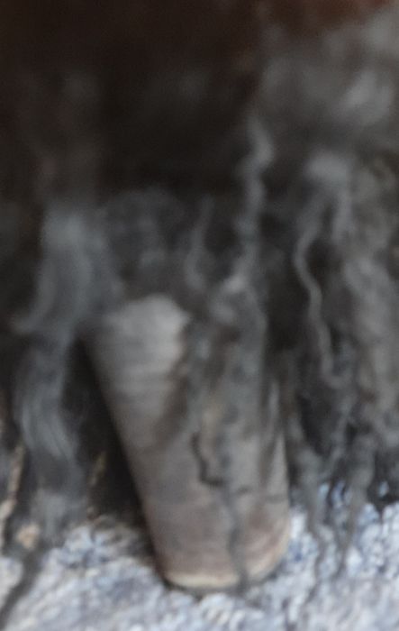 Унти Єті, лама, високі сапоги