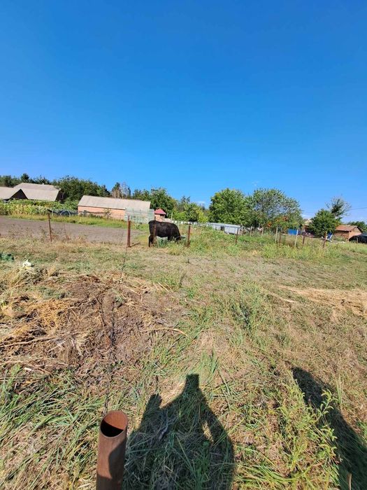 Продається земельна ділянка в мальовничому місці