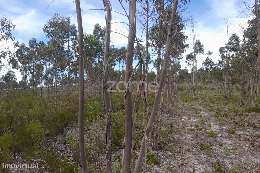 Terreno Rustico com 12580m2