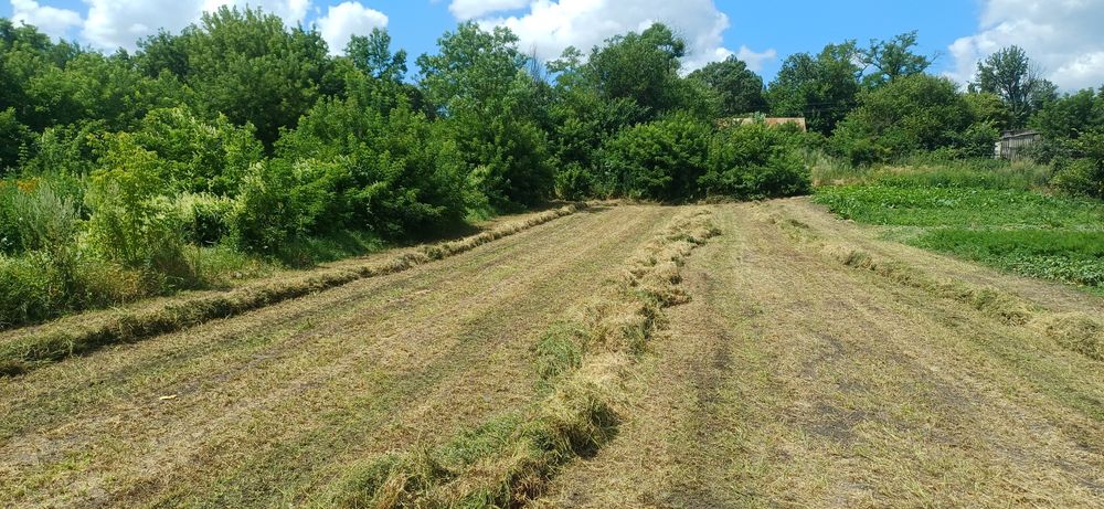 Сіно люцерни тюки і логуве солома