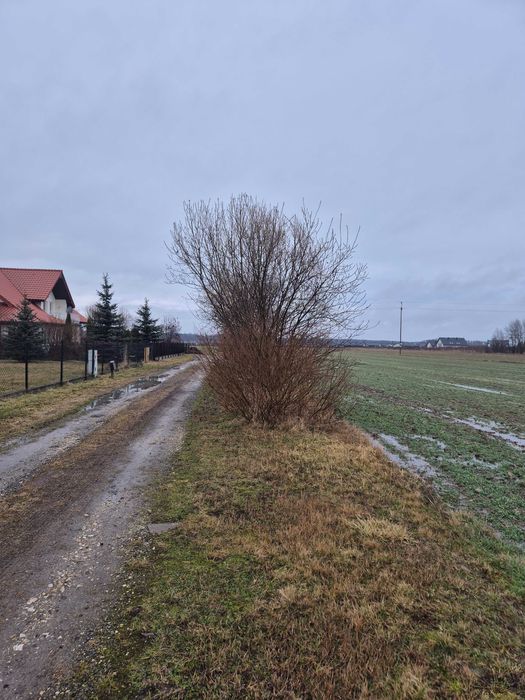 Działka budowlana Michałów Piotrków Trybunalski