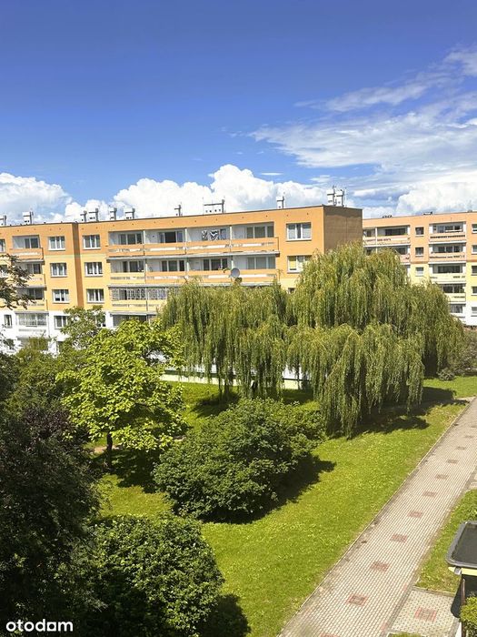 Przestronne M-4 z balkonem i  widokiem na zieleń 62 m²  Chojny Zatorze