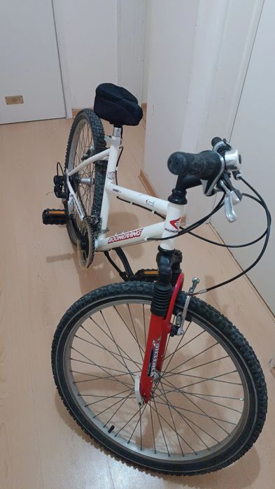 Bicicleta de montanha