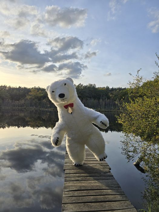 Wynajem Namiotu okolicznościowego 4x8m do 40 osób