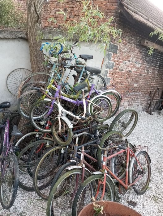 Kolekcja Rowerów Ukraina Wigry Pelikan