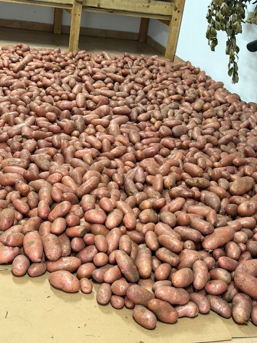Batatas  Caseiras