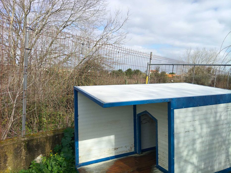 Casota para cão grande