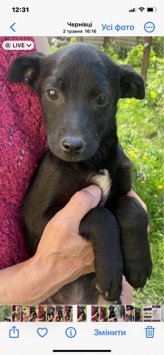 У добрі ручки !