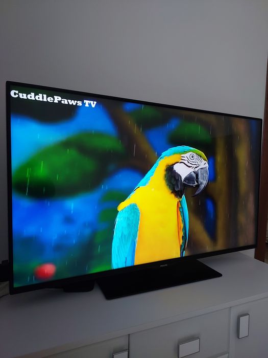 Тв Philips 43 PUS6031/12  4K,вип.2016р.