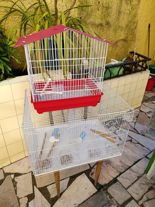 Gaiolas para canários
