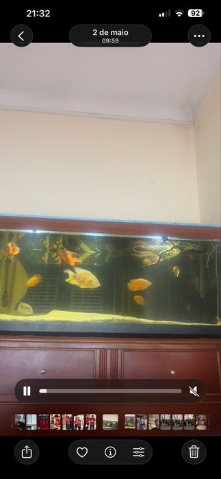 Aquario 325 litros