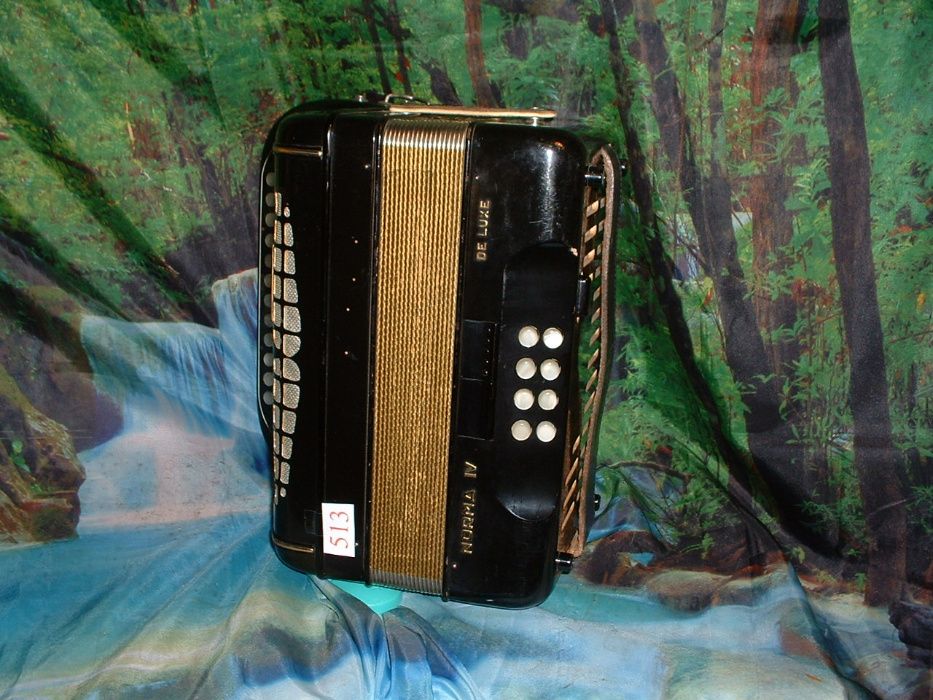 Concertina n. 513