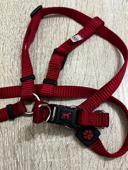 Шлея для собак малих порід