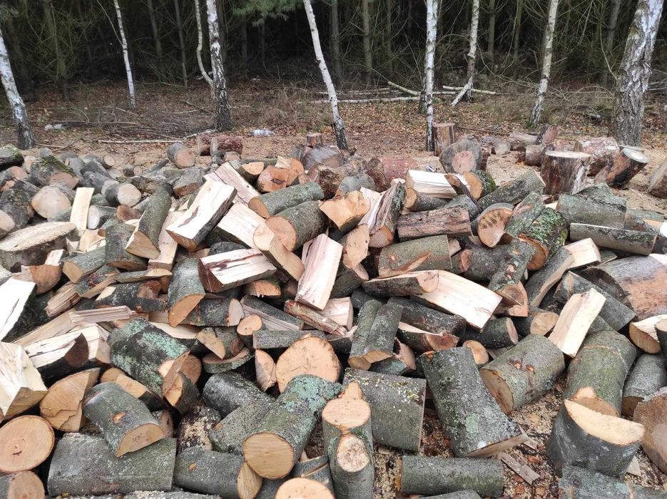 Drzewno opalowe kominowe