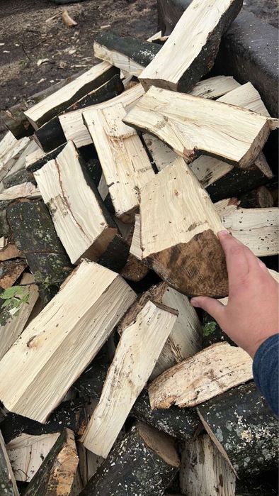 Дрова (Дуб ,Граб) колоті з доставкою