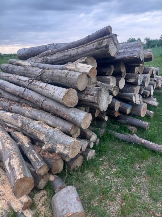 Drewno opalowe i kominkowe lisciaste sezonowane.