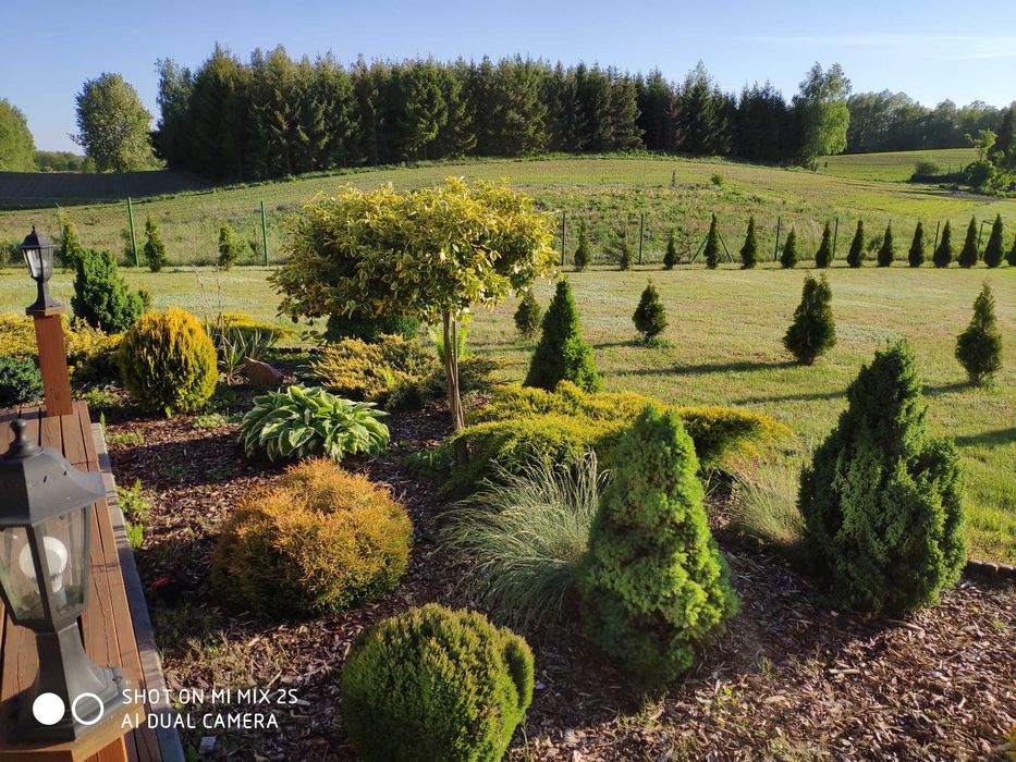 Domek nad jeziorem-wolne terminy !!!