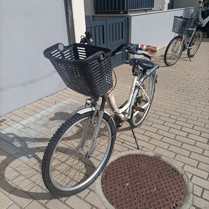 Vendo Bicicleta modelo Pasteleira