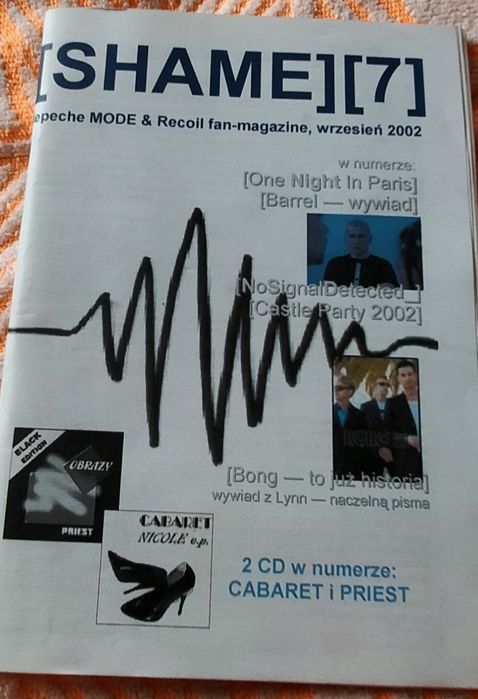 Depeche Mode Shame 7 prasa