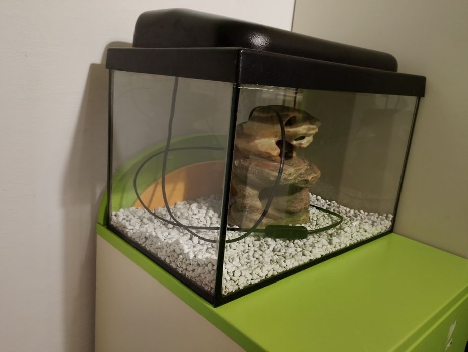 Akwarium z pokrywą 25l   40x25x25