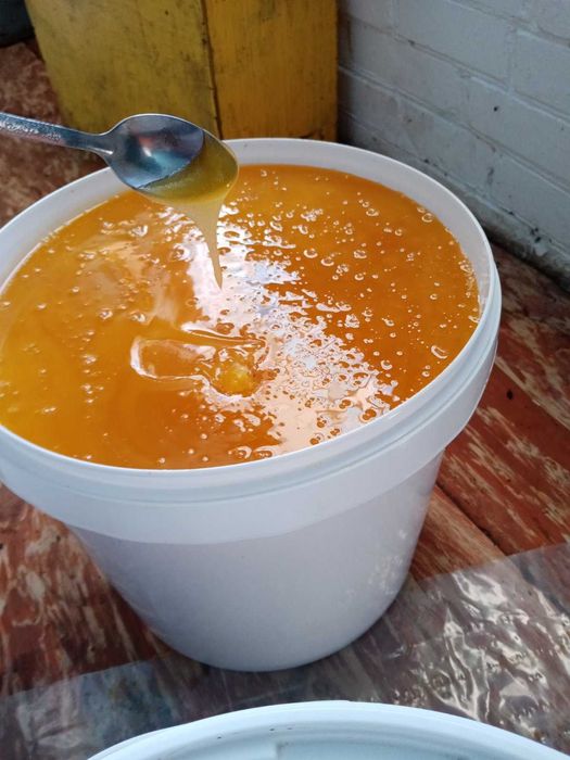 Продам соняшниковий мед з різнотравям