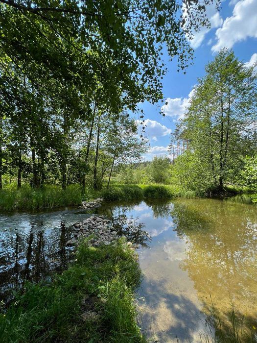 Domek na wynajem, agroturystyka SZCZYPIORKI, KASZUBY, WAKACJE, MAJÓWKA
