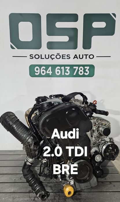 Motor 2.0 TDI Ref BRE