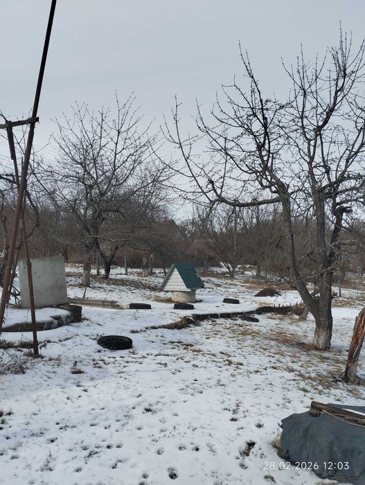 Затишна дача на 7 сотках – ідеальне місце для відпочинку