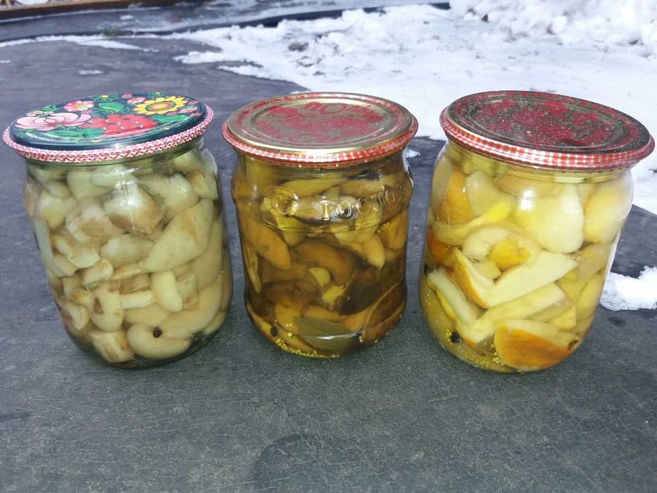 продам гриби білі,маслята та польські