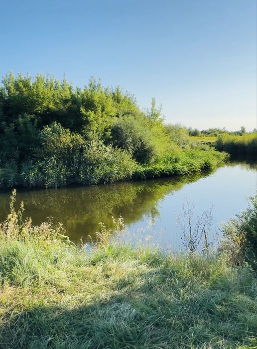 Продам земельну ділянку 2 га над річкою