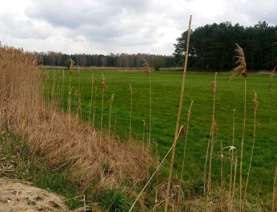 Wyjątkowa działka nad rzeką gmina Wolsztyn