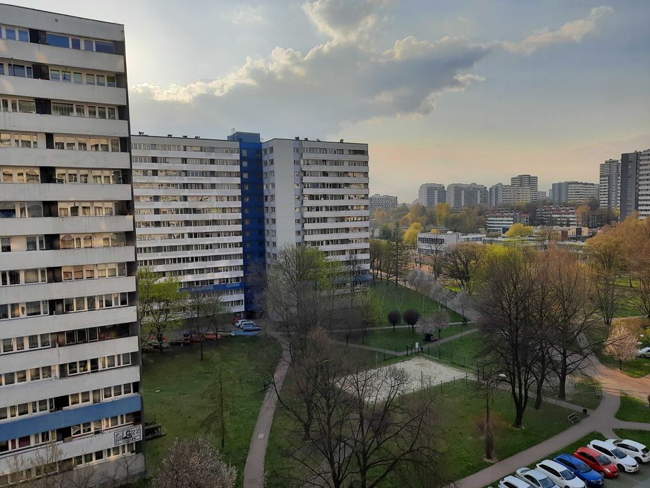 Zdjęcie 7