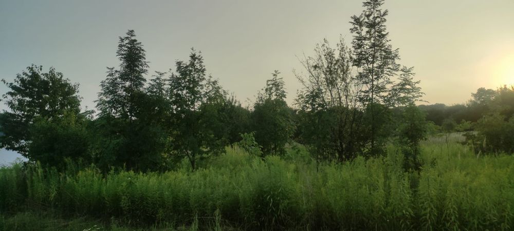 Działka o powierzchni 1892 m² Rejowiec Fabryczny ul.Krótka - Widok 3