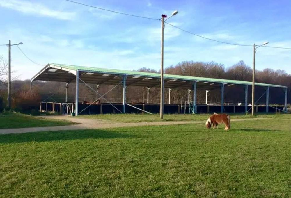 Hipódromo - picadeiro para cavalos kit 20,6x42x5m - Montagem fácil