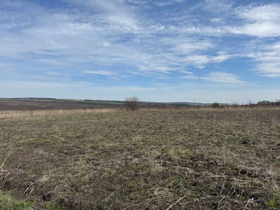 Ділянка в Лісових Гринівцях