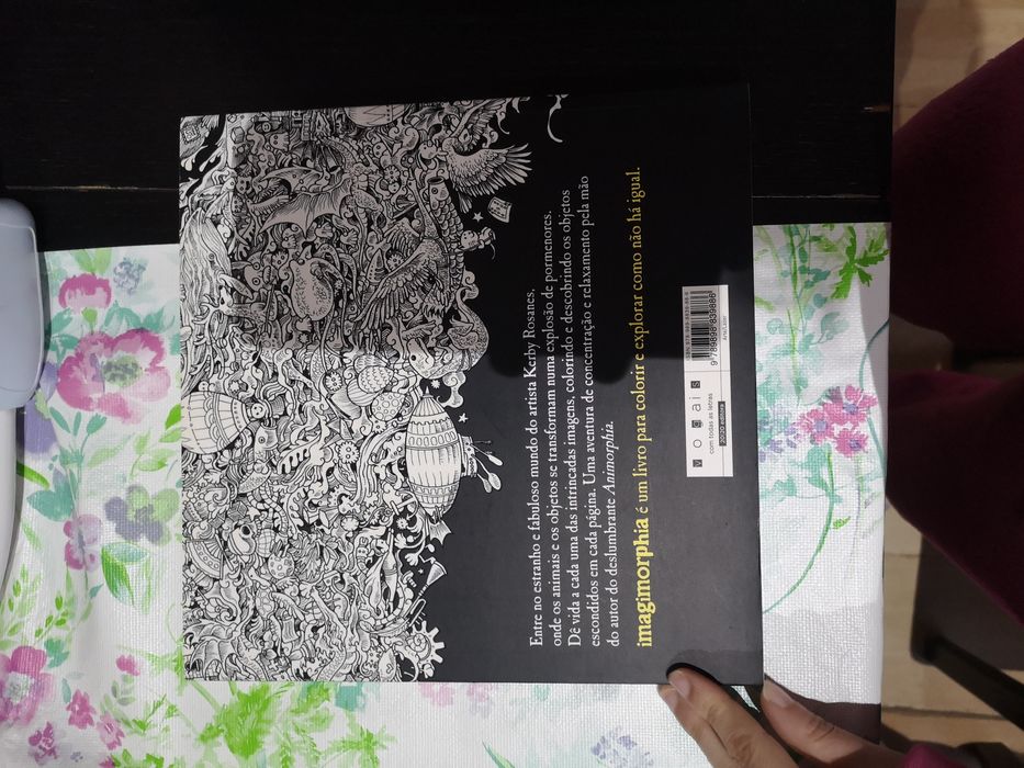 Imagimorphia livro de colorir