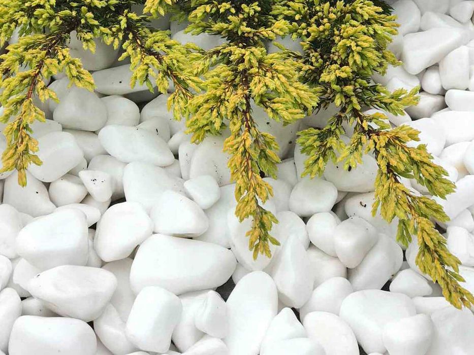 Галька грецька біла Тасос