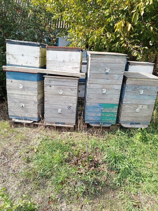 Продам вулики 12,10,9рамкові ,рамки,суш