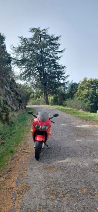 Honda vfr 800 fi