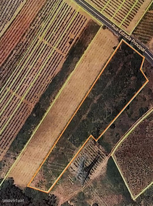 Terreno  para venda — S. Lourenço Do Bairro, Aveiro