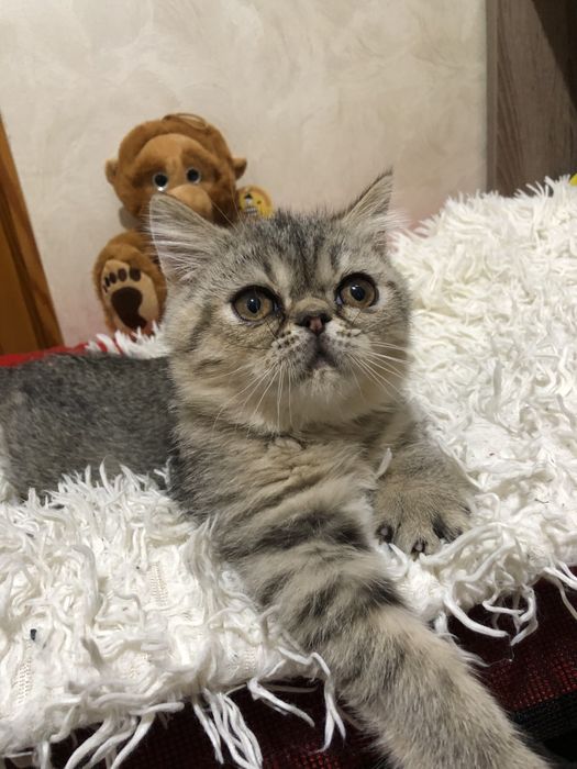 Экзотка девочка супер!