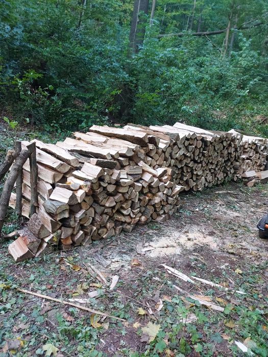 Drewno kominkowe i opałowe Jesion Dąb Buk