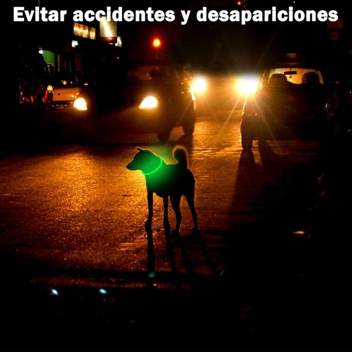 Nepfaivy LED Obroża Świecąca, dla Dużych i Średnich Psów, Zielona-B