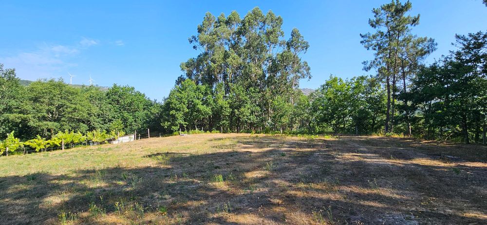 Terreno agrícola com 8.700 m² em Basto (S. Clemente), Celorico de Basto