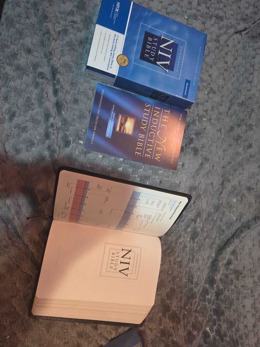 Biblia w jezyku angielskim