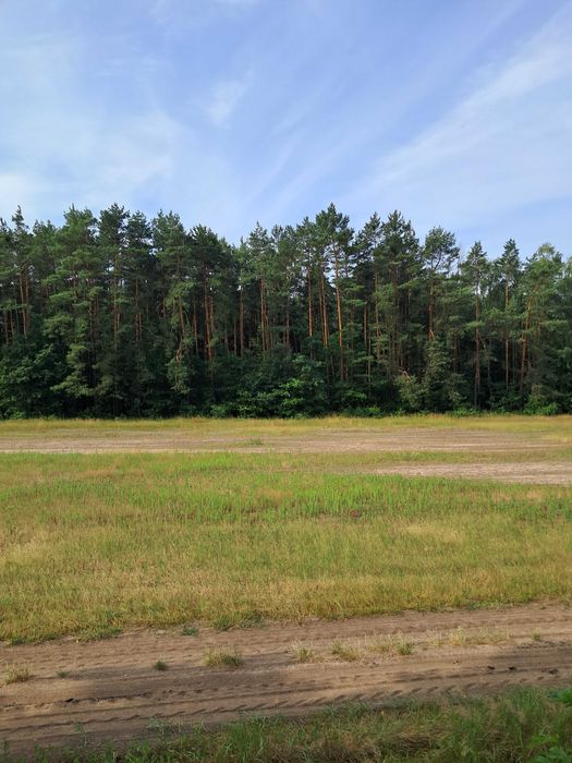 Działki budowlane