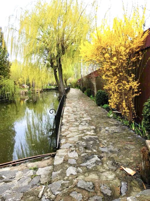 Будинок за адресою (площа 249 м²) - Atlanta.ua - фото 4